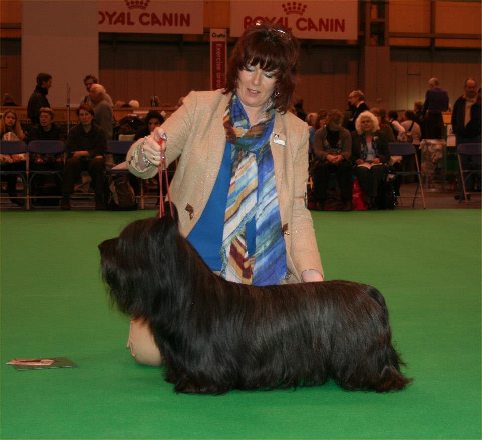Open dog 4th Talyot Learchus